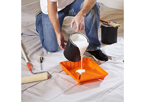 imgnospdt2 Peinture Kingproject produits